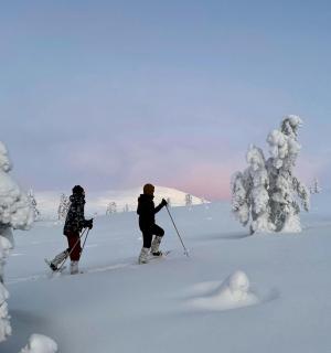 Snowshoeing Tour in Pallas-Ylläs National Park