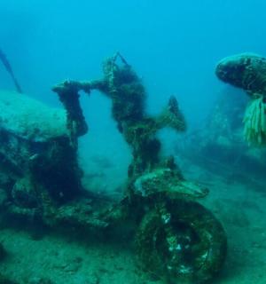 skupina podvodních objektů ve vodě