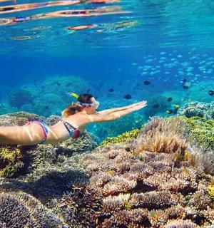 a woman is swimming over a coral reef