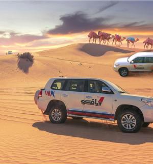 two trucks driving in the desert with camels