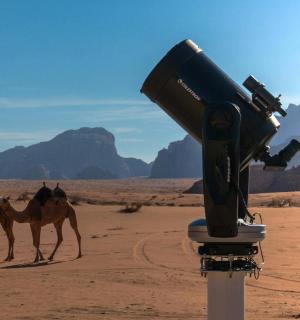 沙漠中的一台相机和两头骆驼