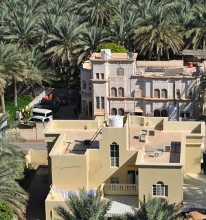 棕榈树环绕的房屋的鸟瞰图