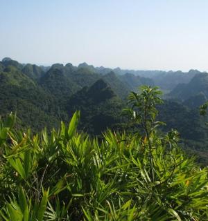 a view of a lush green mountain range