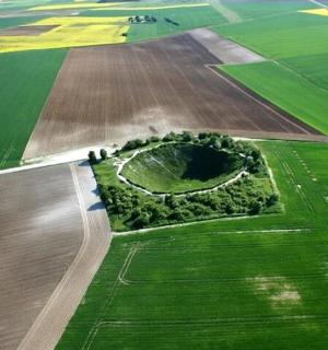 田野中间的一个小岛