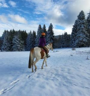 雪地里骑马的人