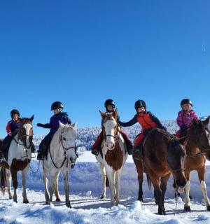 一群人在雪地里骑马