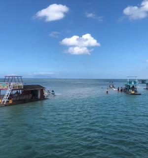 水域中的一群船