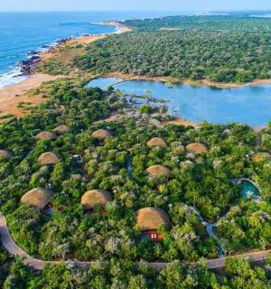 an aerial view of a island with trees and water