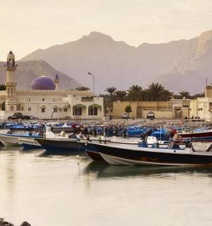 a group of boats in a body of water