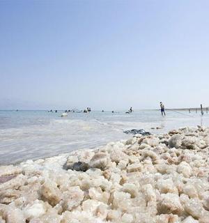 skupina lidí stojících ve vodě na pláži