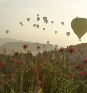 a bunch of hot air balloons flying in the sky