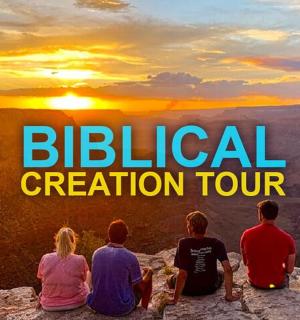 一群人坐在山边看日落