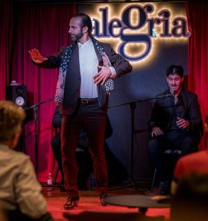 One-hour Flamenco Show at Malaga's Alegría
