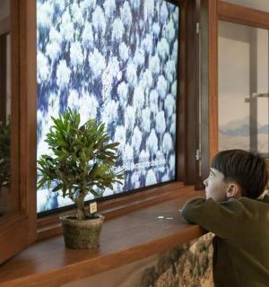 mladý chlapec sedící před oknem