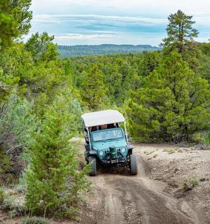 一辆蓝色吉普车沿着土路行驶