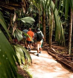 a group of people walking down a path in the jungle