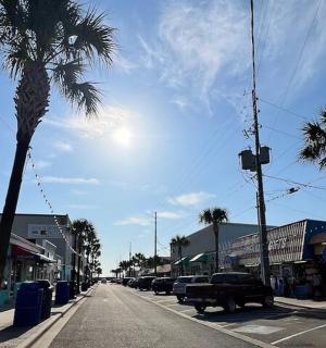 a palm tree on a city street with cars parked
