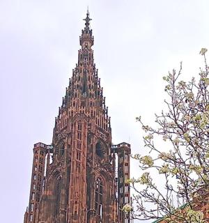 a tall tower of a building with a tree