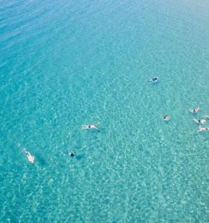 a group of people swimming in the water