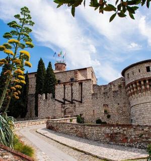 一座有两座塔楼的城堡,前面有一棵树