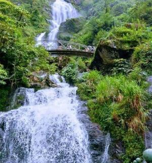 a bridge over a waterfall in a forest