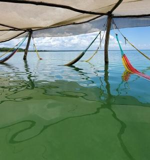 a view of the water with hammocks in the water