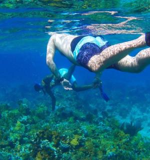 a person is swimming in the water near the reefs