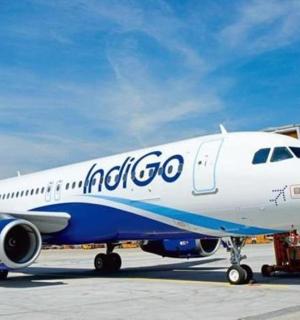 一架蓝白相间的飞机停在跑道上