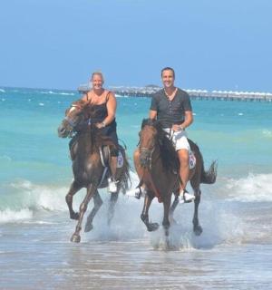 skupina lidí jezdících na koních na pláži