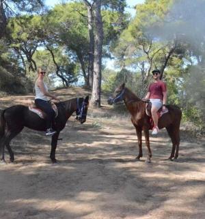 two people riding horses on a dirt road