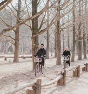 two people riding bikes through a park in the snow