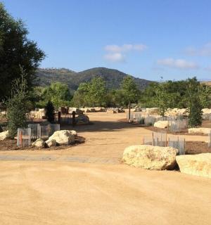 zoologická zahrada s kameny, stromy a plotem