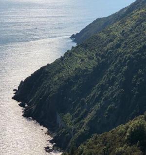 俯瞰山脉与水域