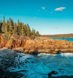 a view of a rocky shore with trees and the ocean