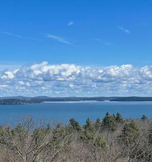 前景中有一大片水域和树木
