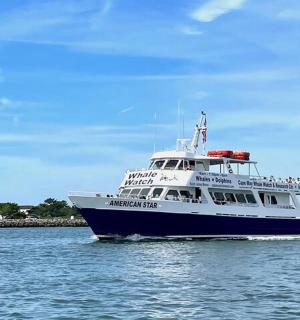 Velká modrobílá loď ve vodě