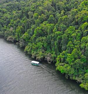 一条河和一艘船的鸟瞰图