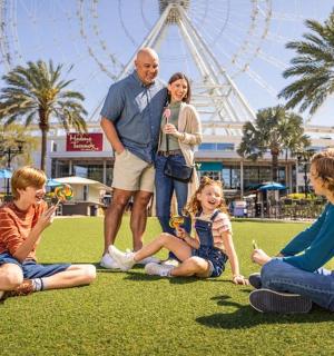 a family sitting on the grass in front of a ferris wheel