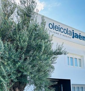 a white building with a tree in front of it