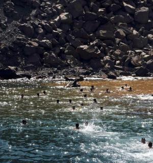 en grupp människor som simmar i ett vattendrag