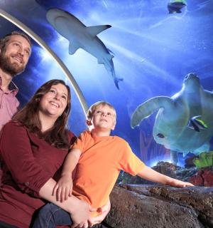 a family posing in front of an aquarium