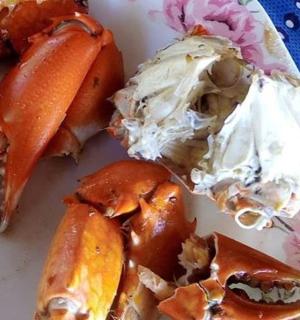 一盘胡萝卜和其他食物