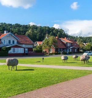 一群羊站在街道附近的草地上