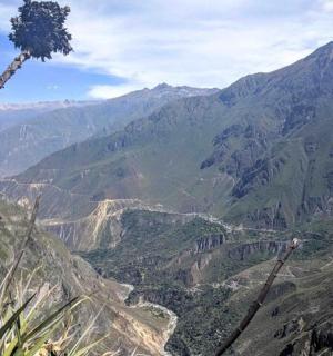 a tree on top of a mountain overlooking a valley