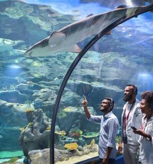 a group of three men standing in front of an aquarium