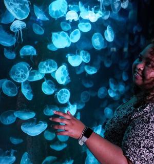 a woman standing in front of a wall of jellyfish