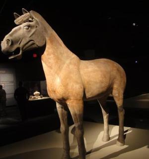 a statue of a horse on display in a museum