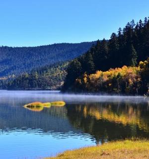 雾气弥漫的湖泊,湖边有树木