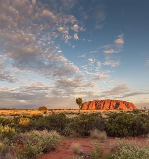 田野中央的橙色圆顶
