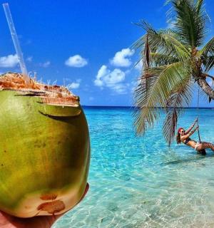 a person holding a coconut in front of a beach
